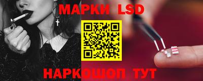 стафф Бердск