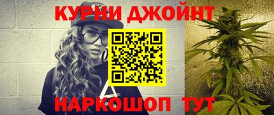 стафф Бердск
