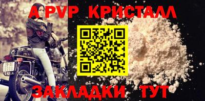 стафф Бердск