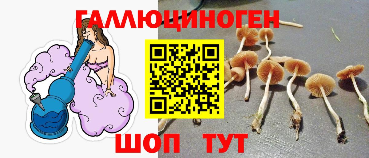 Галлюциногенные грибы мухоморы Владивосток